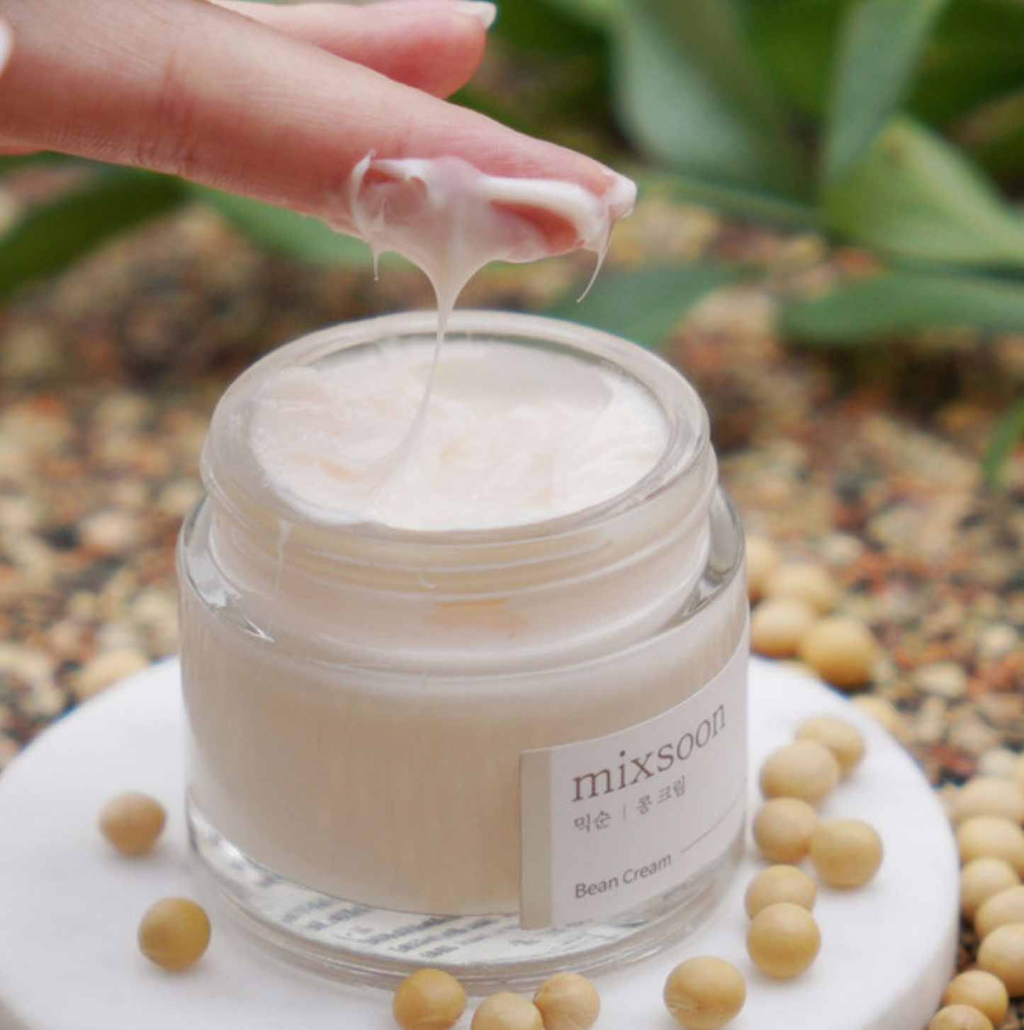 Mixsoon Bean Cream, MIXSOON Bean Cream (50ml)