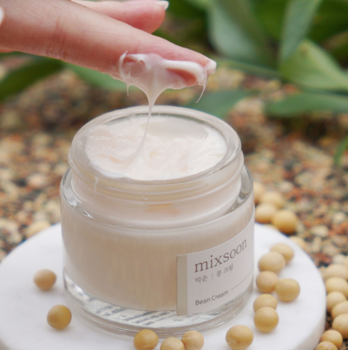 Mixsoon Bean Cream, MIXSOON Bean Cream (50ml)
